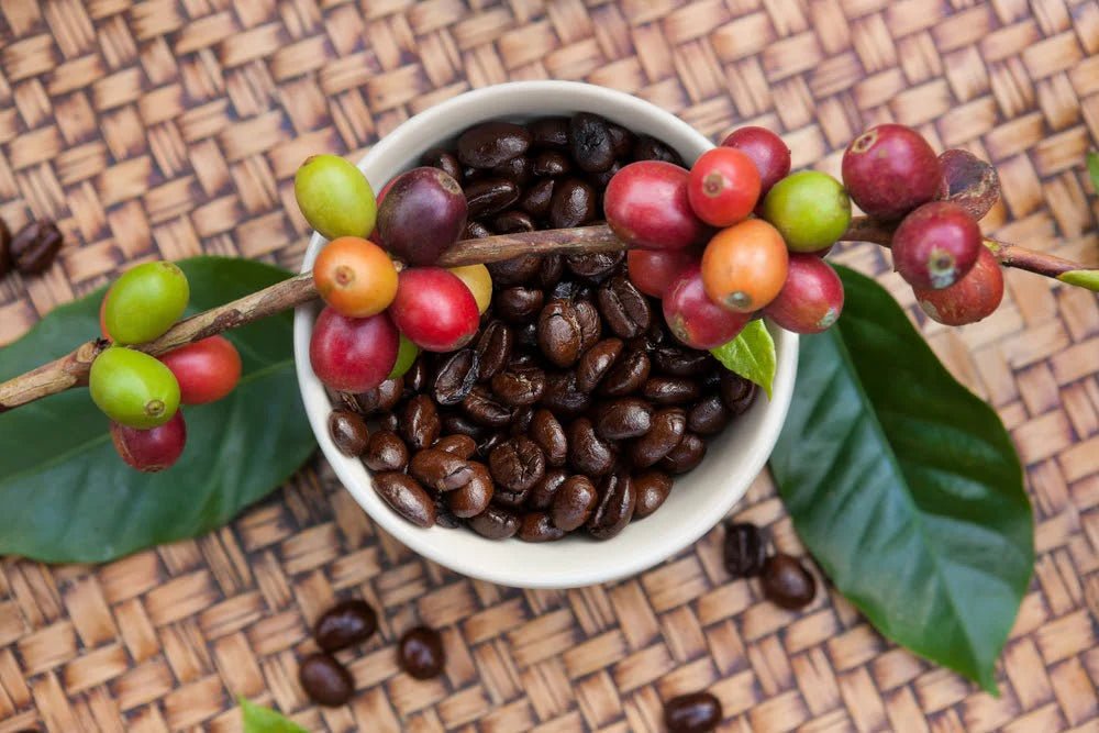 Did you know coffee was a fruit? - Gregorys Coffee