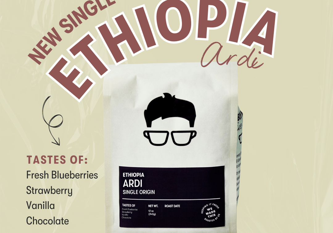 INTRODUCING: ETHIOPIA ARDI - Gregorys Coffee