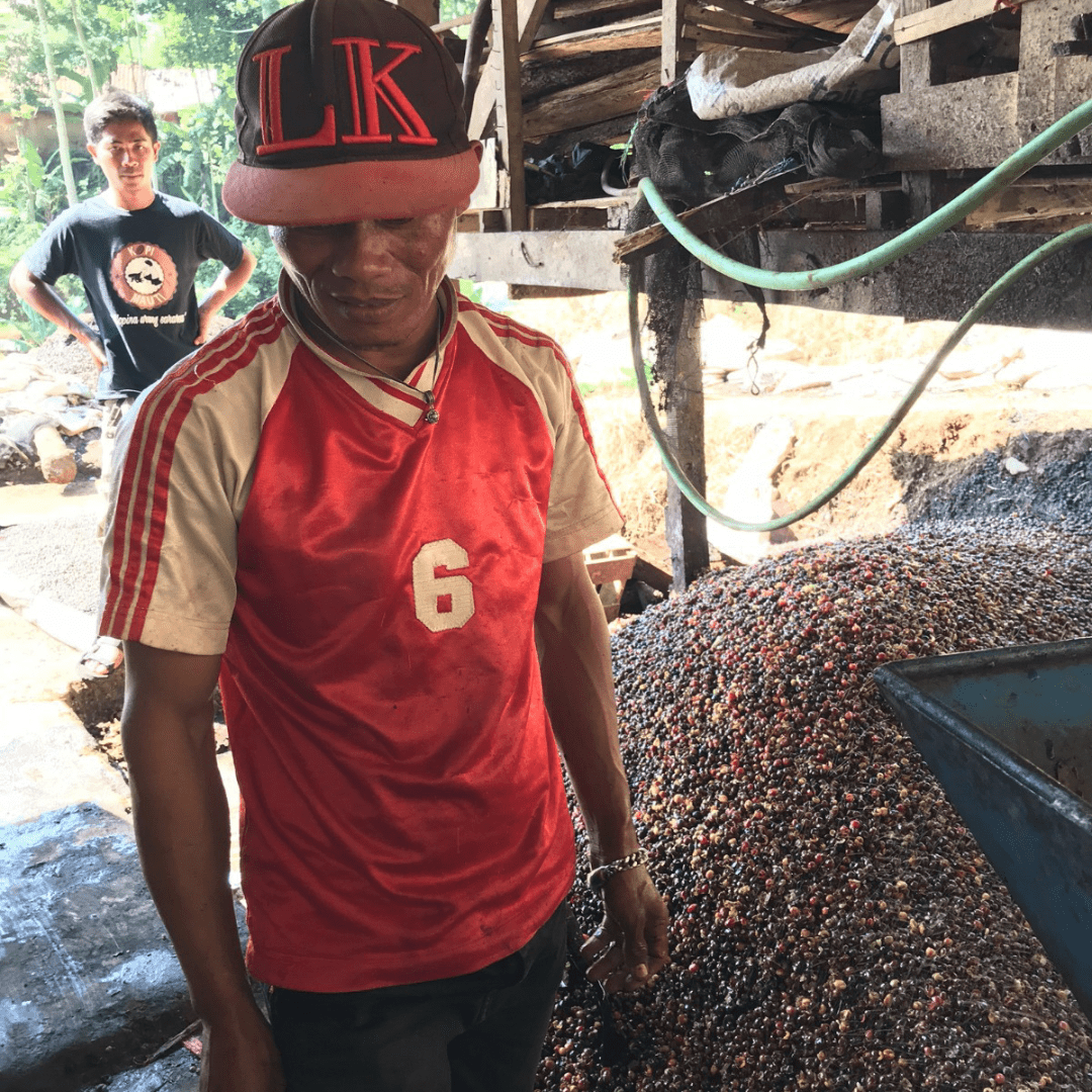 Frinsa, [Java] - Gregorys Coffee