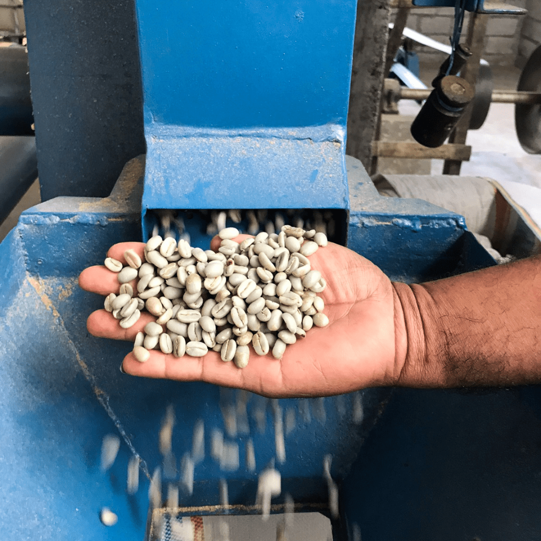 Frinsa, [Java] - Gregorys Coffee