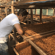 Frinsa, [Java] - Gregorys Coffee