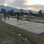 Frinsa, [Java] - Gregorys Coffee