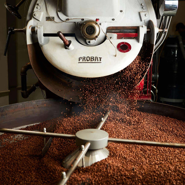 wholesale-coffee-5lb-bags-